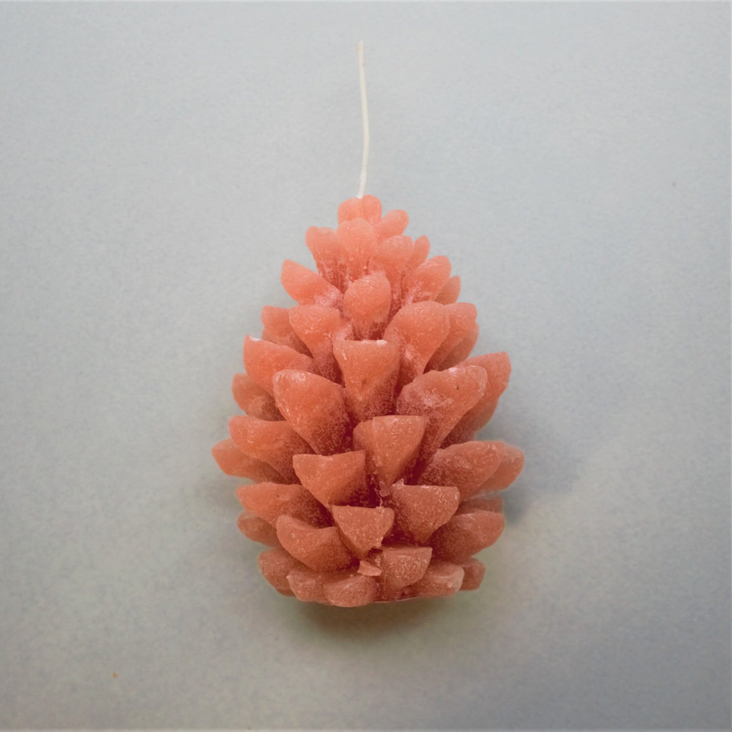 Christmas pine